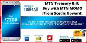 Mtn Treasury Bill Small