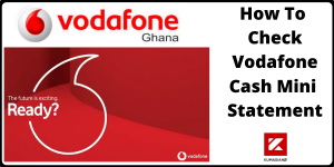 Check Vodafone Cash Mini Statement