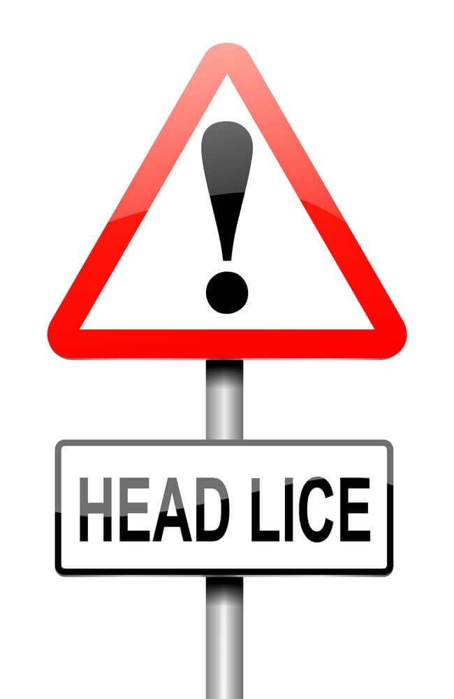 stop head lice