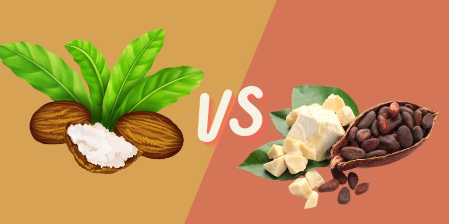 Shea Butter vs Cocoa Butter