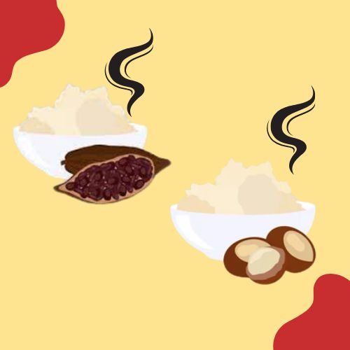 Difference Between Shea Butter Smell and Cocoa Butter Smell