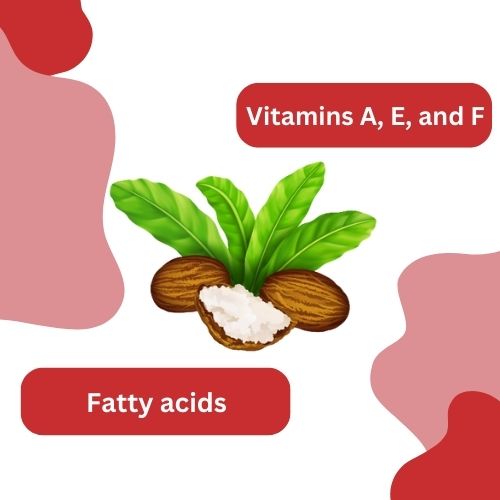 chemical properties of shea butter