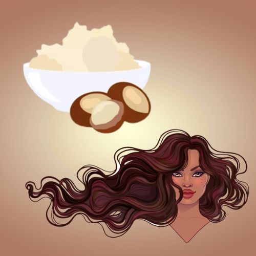 shea butter for hair